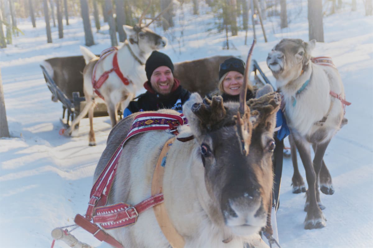 reindeer journey